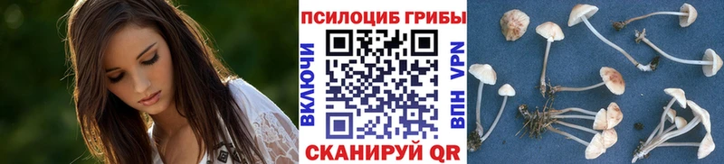Галлюциногенные грибы MAGIC MUSHROOMS  продажа наркотиков  shop Telegram  Аркадак 